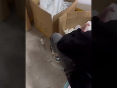 جاروبرقی سیلیکونی، گاسکت سیلیکونی