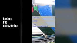 طول قابل تنظیم تسمه نقاله پی وی سی مواد غذایی